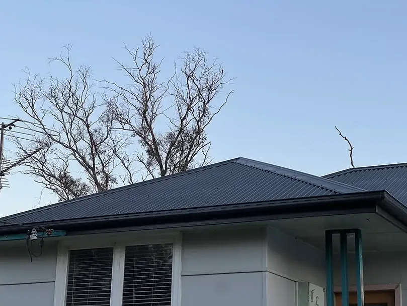 Windale Project, Auzsheet Roofing